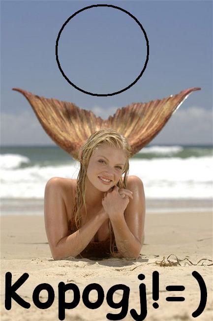 laying-on-the-beach-as-a-mermaid-h2o-rikki-the-mermaid-2464434-433-6531.jpg